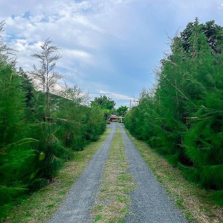 North Pine Forest Homestay บ้านไม้สนโฮมสเตย์ Ban Mae Pong Екстериор снимка