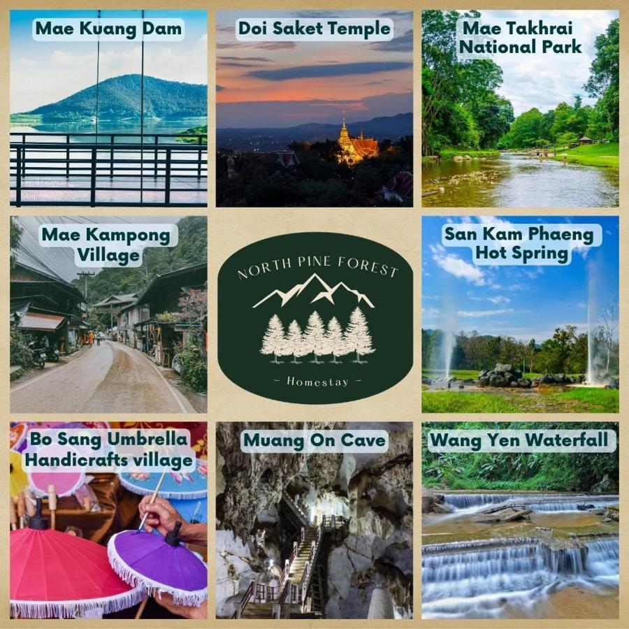 North Pine Forest Homestay บ้านไม้สนโฮมสเตย์ Ban Mae Pong Екстериор снимка