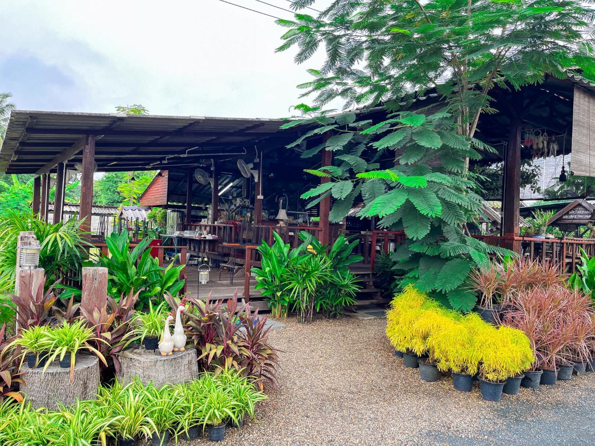 North Pine Forest Homestay บ้านไม้สนโฮมสเตย์ Ban Mae Pong Екстериор снимка