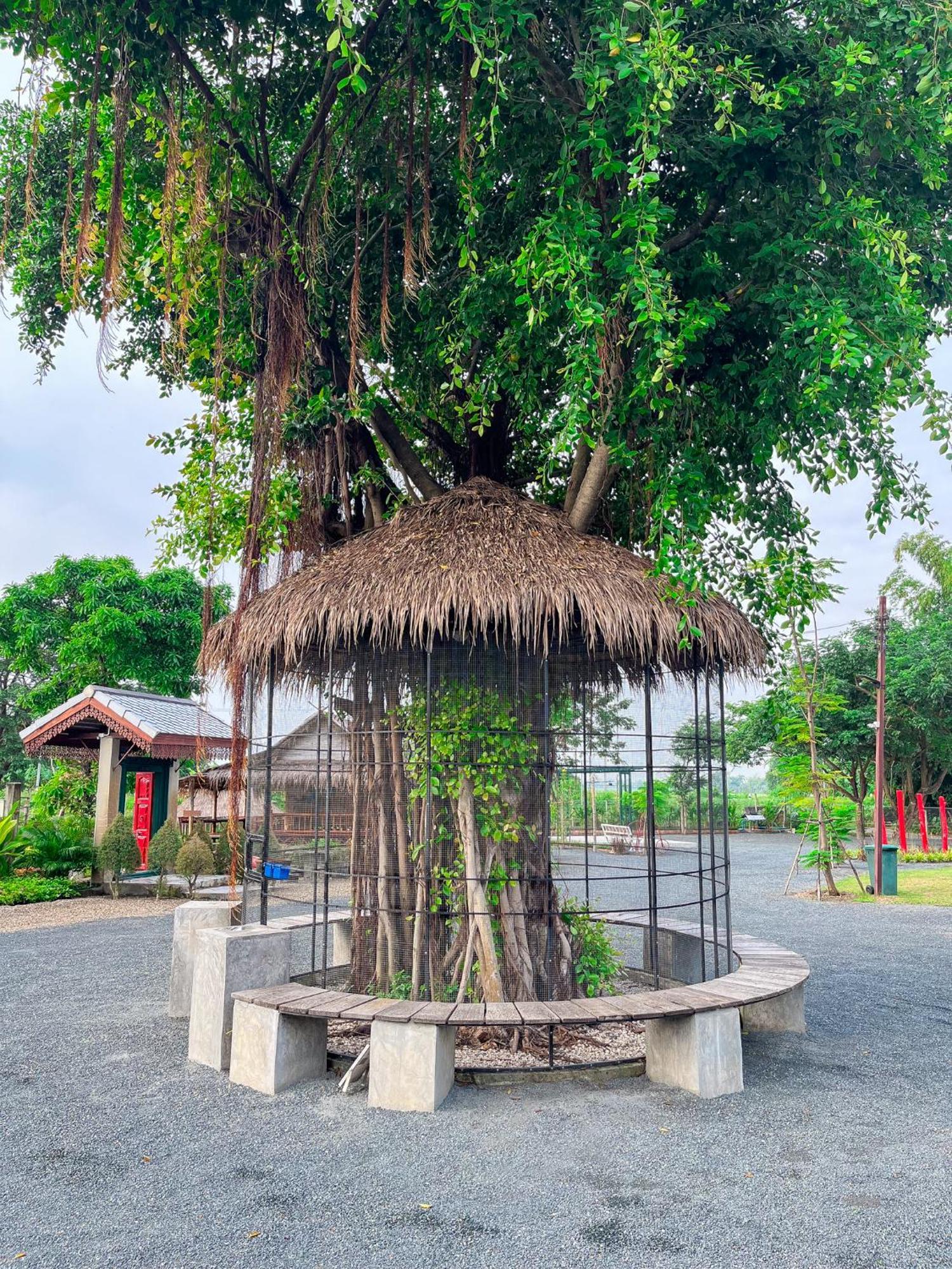 North Pine Forest Homestay บ้านไม้สนโฮมสเตย์ Ban Mae Pong Екстериор снимка