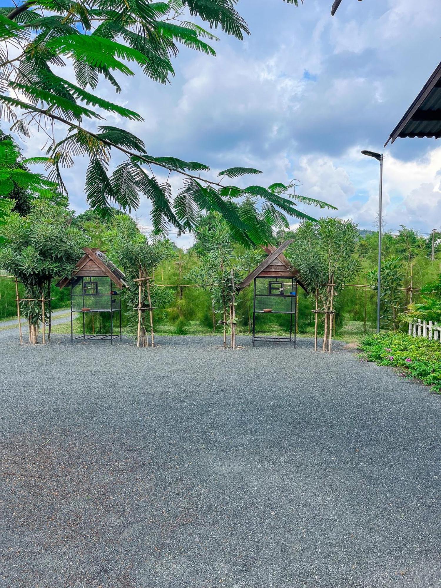 North Pine Forest Homestay บ้านไม้สนโฮมสเตย์ Ban Mae Pong Екстериор снимка