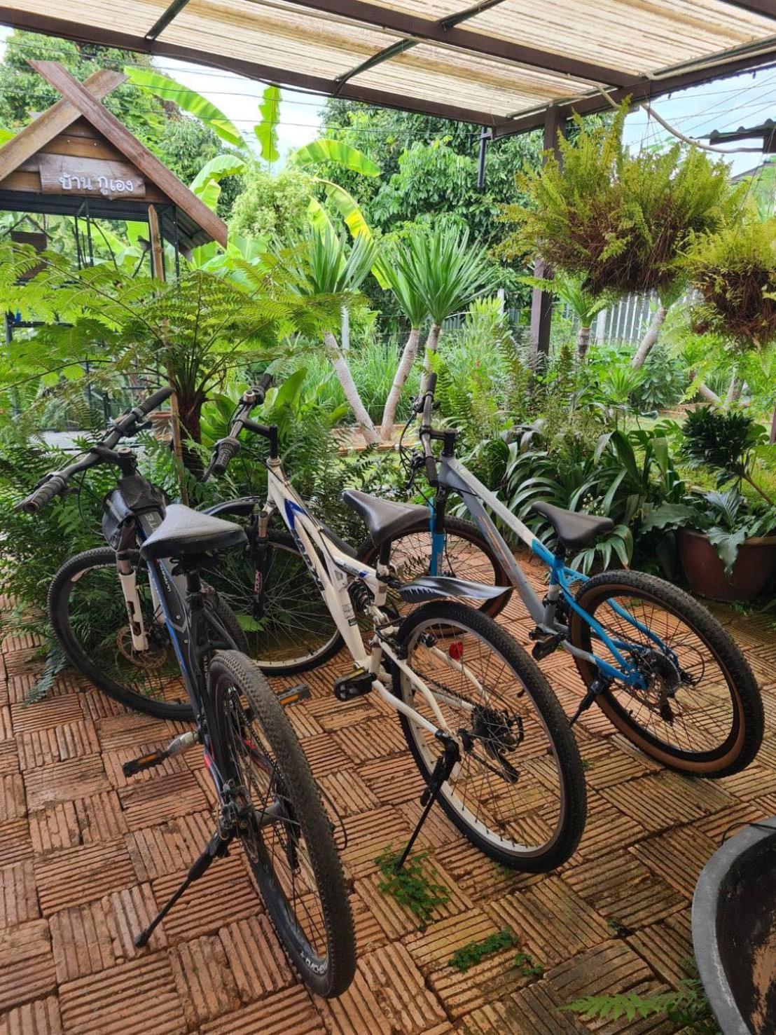 North Pine Forest Homestay บ้านไม้สนโฮมสเตย์ Ban Mae Pong Екстериор снимка